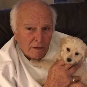 Meet your Posher, Dennis